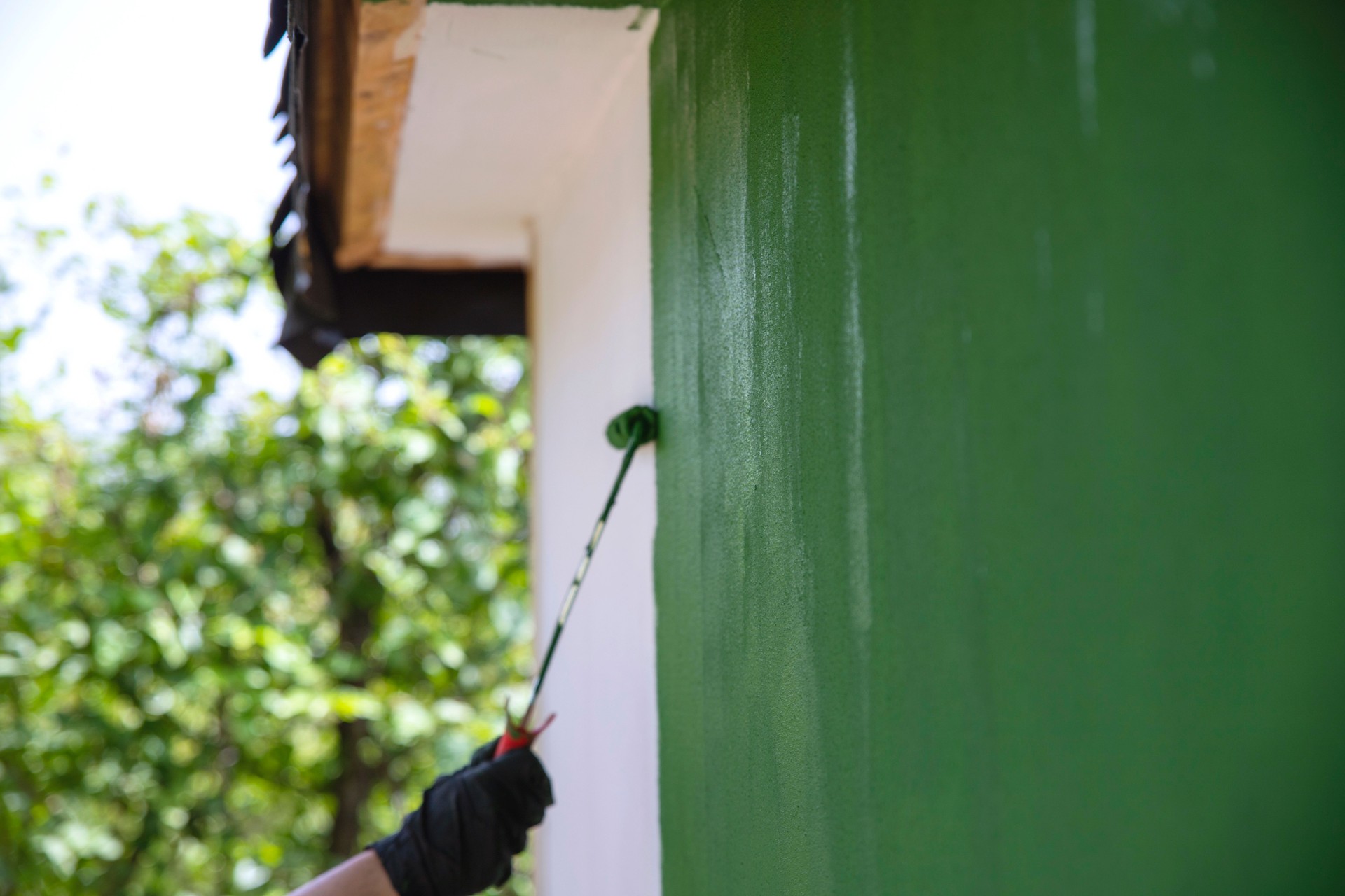 Painting with Green Paint using small roller on the wall